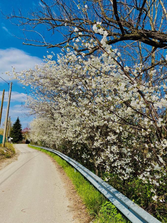 B&B Nido Sui Laghi San Donnino della Nizzola Экстерьер фото